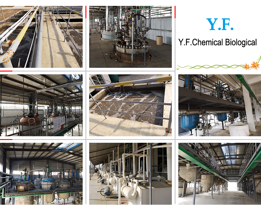 Factory(图1)